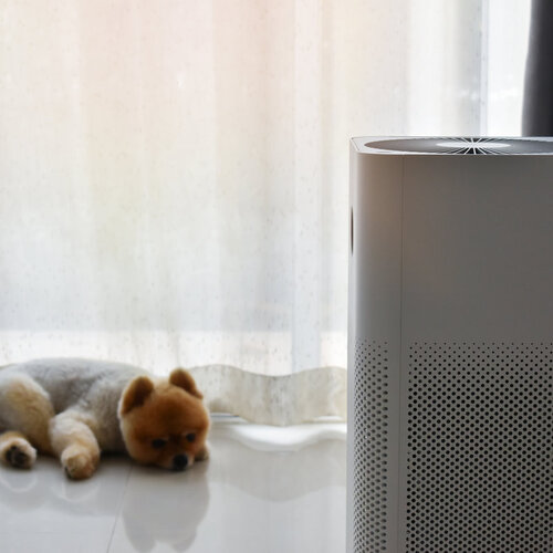 small dog next to an air purifier system